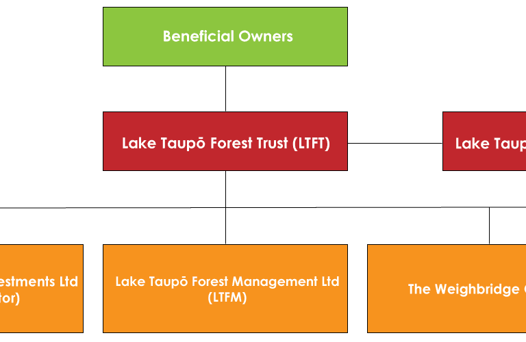 LTFT_Structure