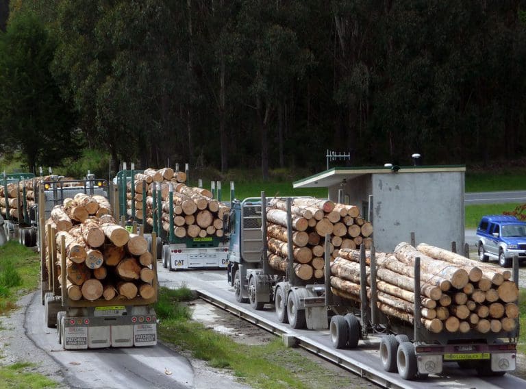 Logging trucks